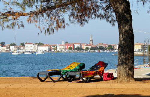 Apartments with a parking space Heraki, Central Istria - Sredisnja Istra - 7167 - Foto 6