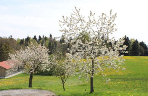 Ferienwohnung am Dreiseithof - Foto 21