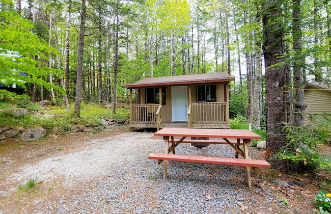Oakhill Pines Campground - Foto 28