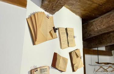 La Mirada de Juana - Photo 20