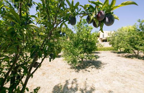 Villa Russelia - Foto 12