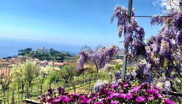 La Casa Dei Nonni - Foto 2, Garden, Garden view