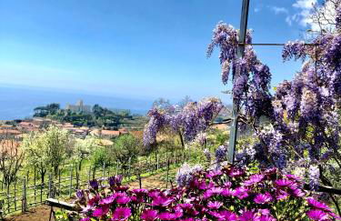 La Casa Dei Nonni - Foto 1