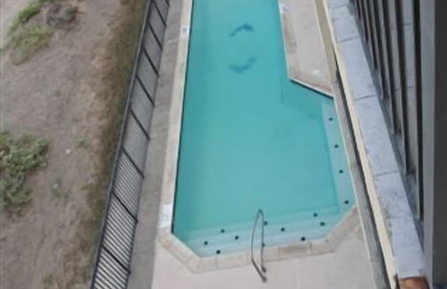 Florence by South Padre Condo Rentals - Foto 69