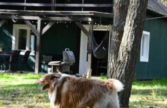 Daleko od Szosy - Foto 26