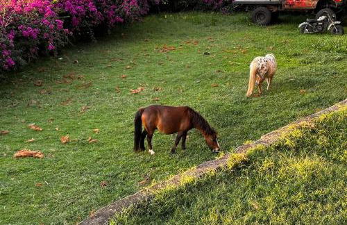 Paradise Apartment in North Shore Oahu Hawaii - Foto 14