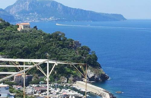 Tessa's Holiday - Photo 15