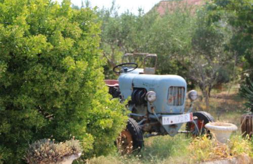 Holiday Home Nadalina - Photo 4