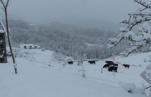 Eco-grange au milieu de notre ferme biologique O'Naturel - Foto 32