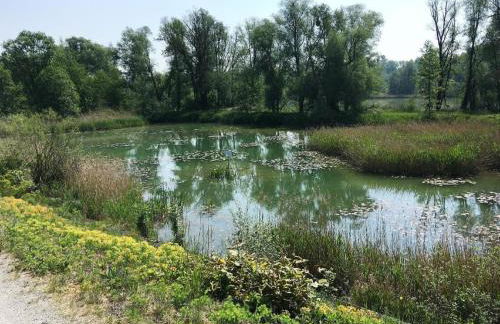 Appartementhaus Stangl - Foto 24