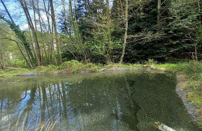 Nature Retreat in Lorraine - Foto 36