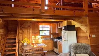 Dream of a Log Cabin - Foto 2