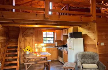 Dream of a Log Cabin - Foto 2