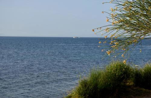 Salt and petals Downstairs - Foto 46