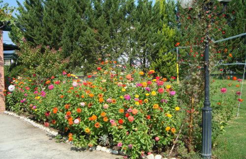 Chroma Studios - Photo 26