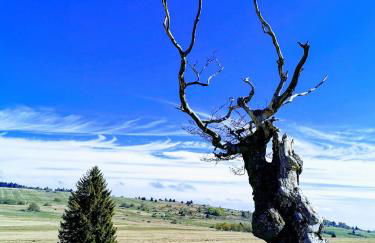 Ferienwohnungen Rhönschnuppe - Foto 39