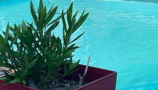 LES CHALETS DE VANESS' l'Eden - Foto 4