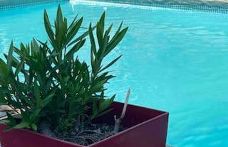 LES CHALETS DE VANESS' l'Eden - Foto 4