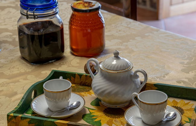 Quinta Eido Oliveira - Photo 76