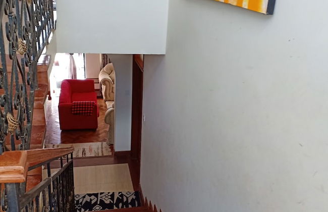 Nature Green - Foto 19