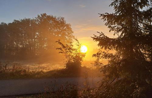 Ferienwohnungen Zum Hasenbahnhof - Foto 12