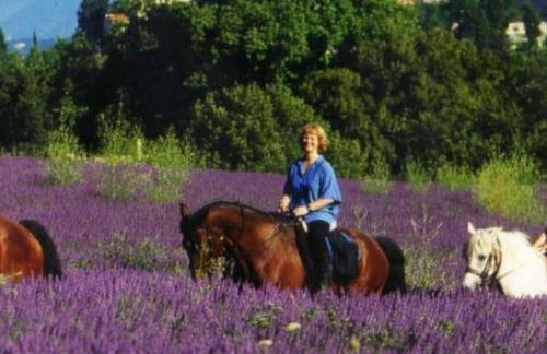 Villa provençale et familiale - Foto 11