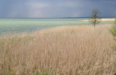 Lindenhof Wohnung 2, Erdgeschoß - Foto 22