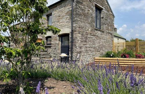 1 Bed in Cardigan oc-83918 - Foto 14