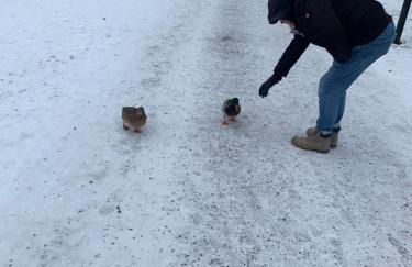 Apartment Ape Maja - Foto 58