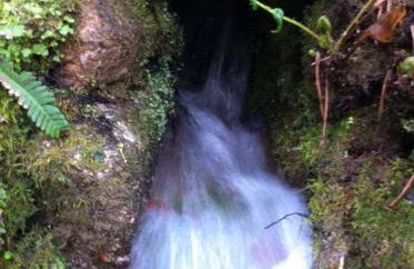 Eira das Carvalhas - Photo 19