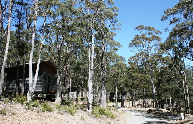 Craggy Peaks Wilderness Cabins - Foto 63