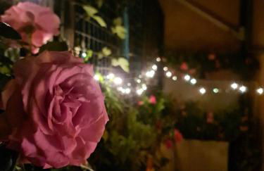 Il sogno del capitano - Photo 20