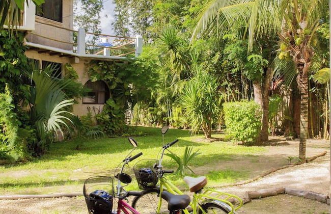 Mini Pini Birdwatching and Cenote Loft4 you Only - Foto 47