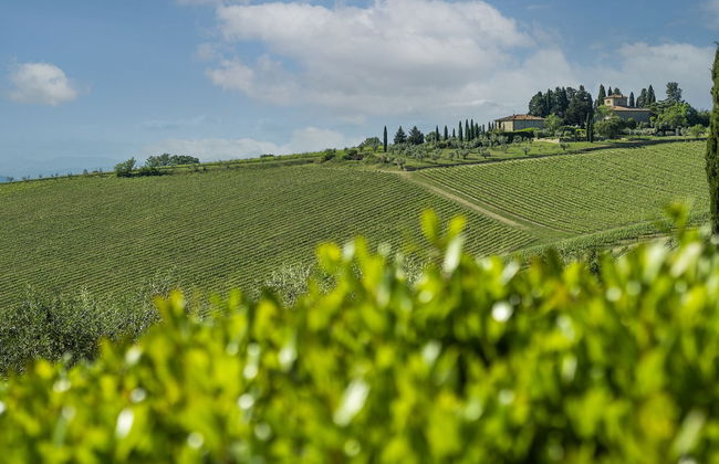 Fonte de' Medici - Foto 65