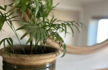 Fresh Modern Home, Stunning Views, Great Location - Foto 33