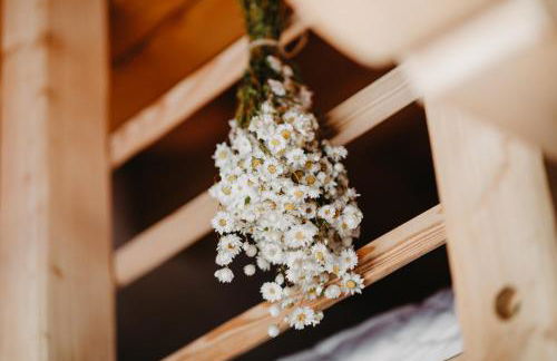 Odomi maso nel bosco - Eleganza e Relax nella Natura - Foto 54