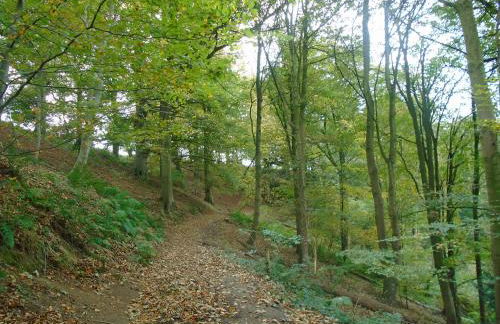 Greenham Cottage - Photo 26
