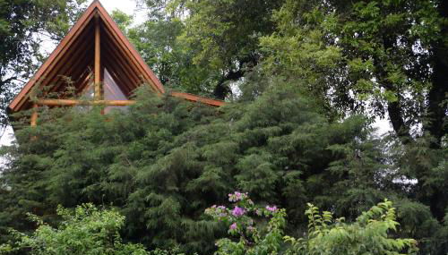 Casa na Árvore - Foto 3, Garden