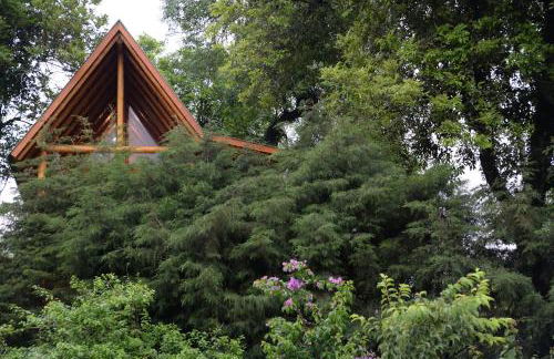 Casa na Árvore - Foto 3