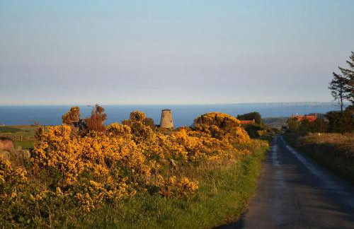 The Yorkshireman - Foto 22