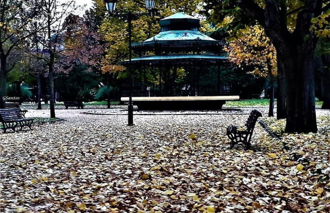 Casa da Sinagoga - Foto 24