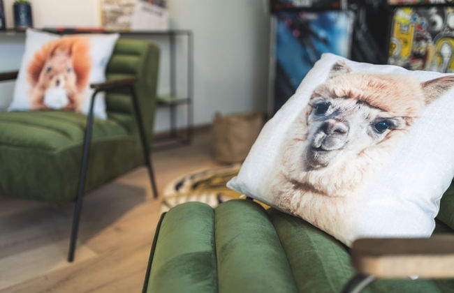 Coloft By PurePlaces - Foto 5