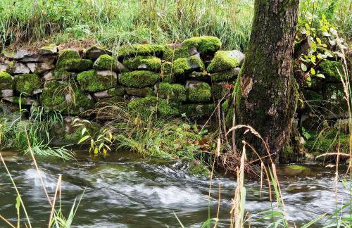 Holzhaus mit Kamin - Am Forellenfluss - Foto 27
