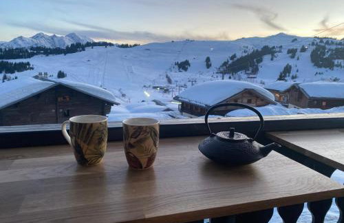 Les Saisies appart 1 chambre au pied des pistes - Photo 25