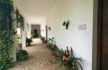 Cortijo de Guerra - Foto 55