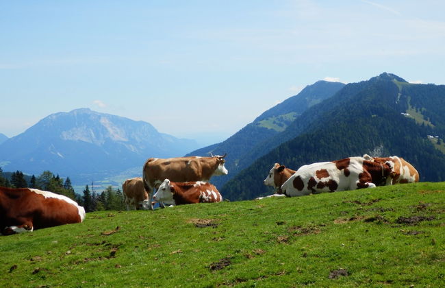 Ferienhaus Bella Vista - Foto 26