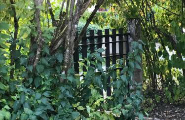 Maison à la Campagne - Foto 5