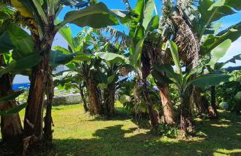 Casa Miramar - Photo 7