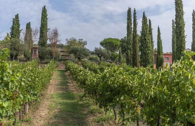 Agriturismo Le Case Rosse di Montebuono - Foto 30