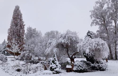Ferienwohnung Schöne Aussicht Pension Volgenandt - Foto 17
